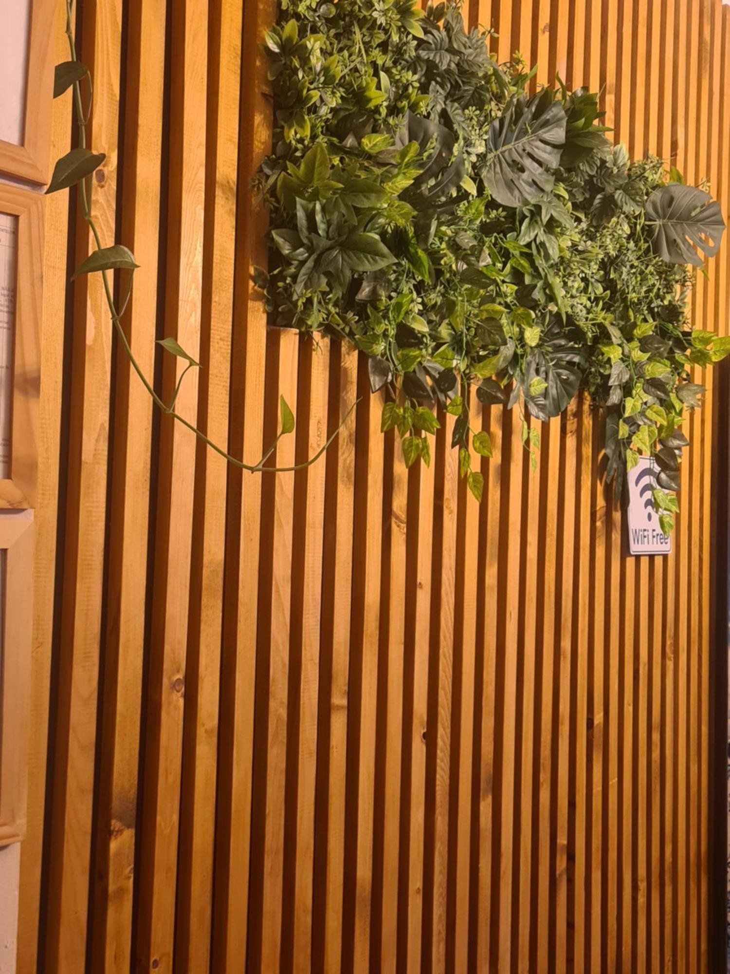 Guesthouse Magic Байле Херкулане Екстериор снимка